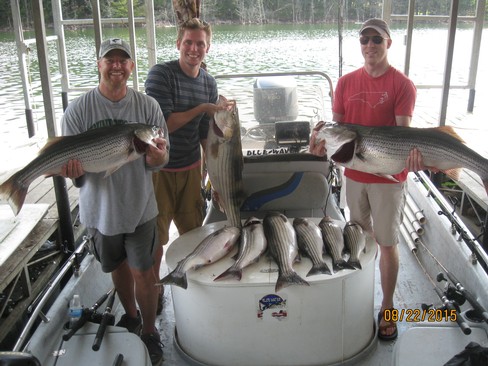 Nice Striped Bass